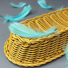 Пір'я гусячі для рукоділля 9-13см, ∼95шт - бірюзовий Пір'я гусячі для рукоділля 9-13см, ∼95шт - бірюзовий