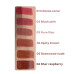 Зволожувальний блиск для губ Parisa Cosmetics Hydro Lips 06 Коричневий Зволожувальний блиск для губ Parisa Cosmetics Hydro Lips 06 Коричневий